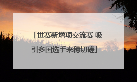 世赛新增项交流赛 吸引多国选手来穗切磋