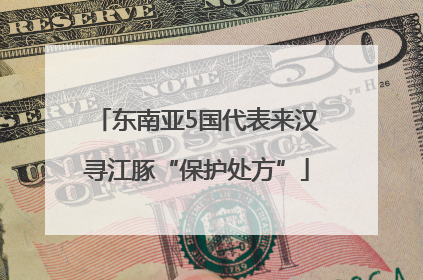 东南亚5国代表来汉寻江豚“保护处方”