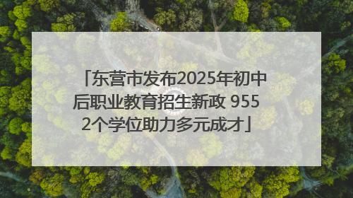 东营市发布2025年初中后职业教育招生新政 9552个学位助力多元成才