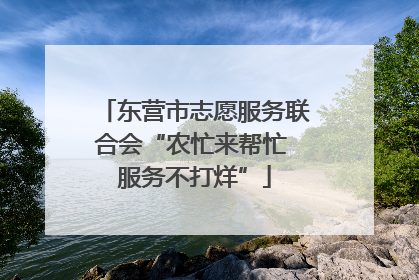 东营市志愿服务联合会“农忙来帮忙 服务不打烊”