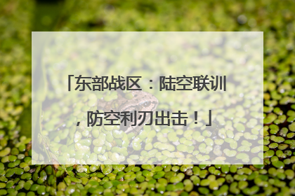东部战区：陆空联训，防空利刃出击！