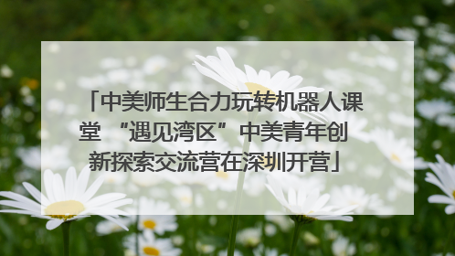 中美师生合力玩转机器人课堂 “遇见湾区”中美青年创新探索交流营在深圳开营