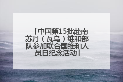 中国第15批赴南苏丹（瓦乌）维和部队参加联合国维和人员日纪念活动