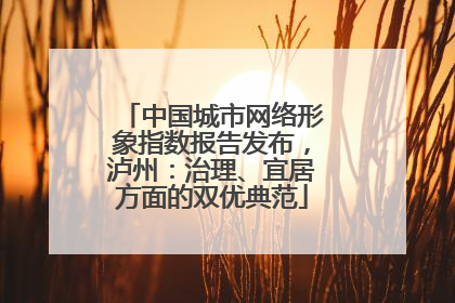 中国城市网络形象指数报告发布，泸州：治理、宜居方面的双优典范
