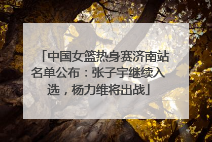 中国女篮热身赛济南站名单公布：张子宇继续入选，杨力维将出战