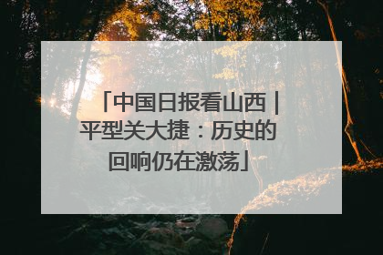 中国日报看山西｜平型关大捷：历史的回响仍在激荡