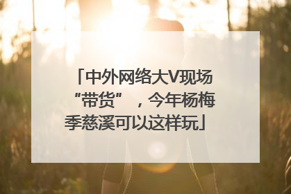 中外网络大V现场“带货”，今年杨梅季慈溪可以这样玩
