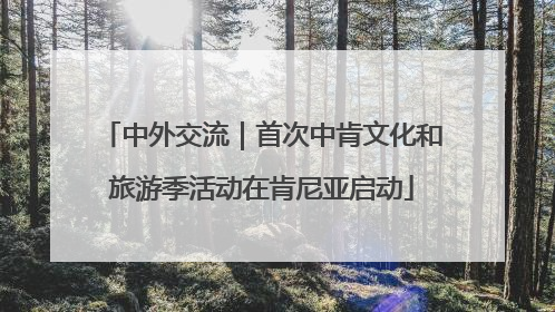 中外交流｜首次中肯文化和旅游季活动在肯尼亚启动