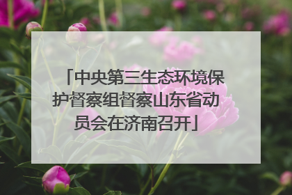 中央第三生态环境保护督察组督察山东省动员会在济南召开