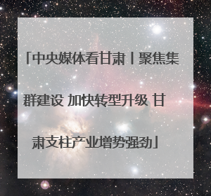 中央媒体看甘肃丨聚焦集群建设 加快转型升级 甘肃支柱产业增势强劲