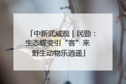中新武威观｜民勤：生态蝶变引“客”来 野生动物乐逍遥