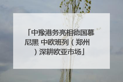 中豫港务亮相德国慕尼黑 中欧班列（郑州）深耕欧亚市场