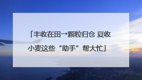 丰收在田→颗粒归仓 夏收小麦这些“助手”帮大忙