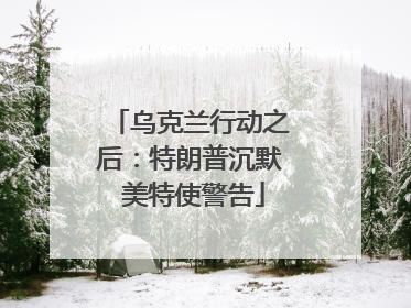 乌克兰行动之后：特朗普沉默 美特使警告