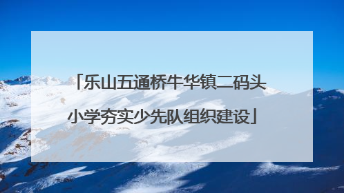 乐山五通桥牛华镇二码头小学夯实少先队组织建设