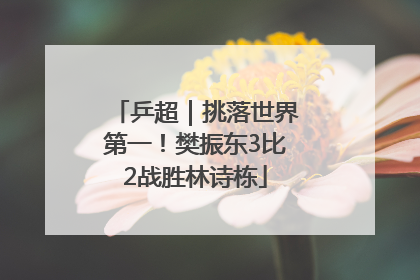 乒超｜挑落世界第一！樊振东3比2战胜林诗栋