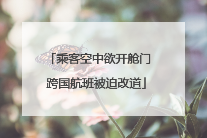乘客空中欲开舱门 跨国航班被迫改道