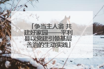 争当主人翁 共建好家园——平利县以党建引领基层善治的生动实践