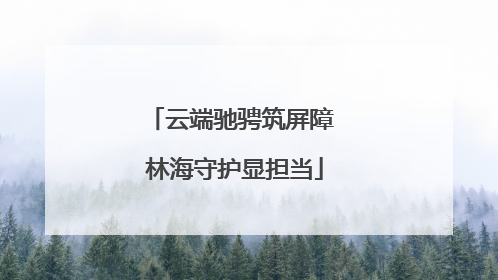 云端驰骋筑屏障 林海守护显担当