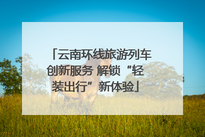 云南环线旅游列车创新服务 解锁“轻装出行”新体验