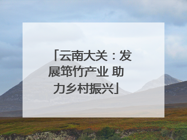 云南大关：发展筇竹产业 助力乡村振兴