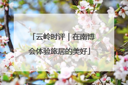 云岭时评｜在南博会体验旅居的美好