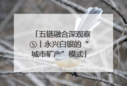 五链融合深观察⑤丨永兴白银的“城市矿产”模式