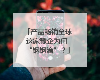 产品畅销全球 这家豫企为何“钢钢滴”？