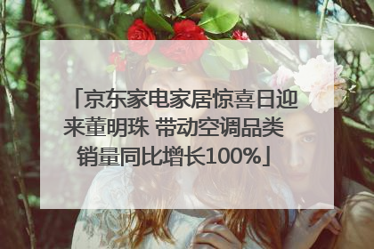 京东家电家居惊喜日迎来董明珠 带动空调品类销量同比增长100%