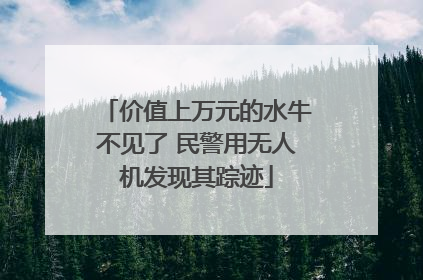 价值上万元的水牛不见了 民警用无人机发现其踪迹