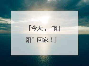今天，“阳阳”回家！