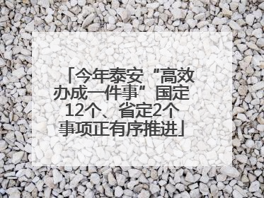 今年泰安“高效办成一件事”国定12个、省定2个事项正有序推进