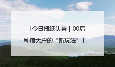 今日报纸头条｜00后种粮大户的“新玩法”