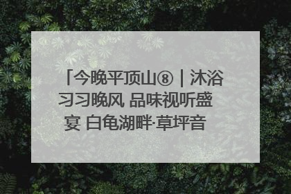 今晚平顶山⑧｜沐浴习习晚风 品味视听盛宴 白龟湖畔·草坪音乐会激情上演