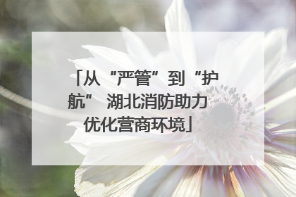 从“严管”到“护航” 湖北消防助力优化营商环境