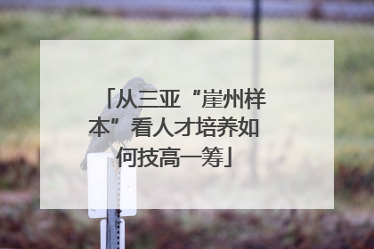 从三亚“崖州样本”看人才培养如何技高一筹