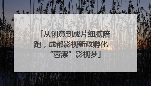 从创意到成片细腻陪跑，成都影视新政孵化“蓉漂”影视梦