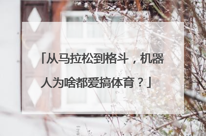 从马拉松到格斗，机器人为啥都爱搞体育？
