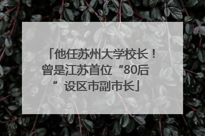 他任苏州大学校长！曾是江苏首位“80后”设区市副市长