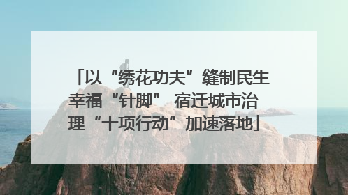 以“绣花功夫”缝制民生幸福“针脚” 宿迁城市治理“十项行动”加速落地