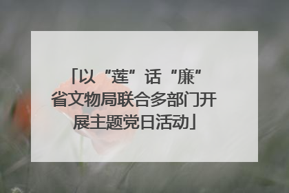 以“莲”话“廉” 省文物局联合多部门开展主题党日活动