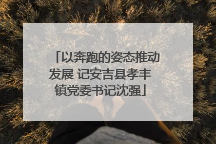 以奔跑的姿态推动发展 记安吉县孝丰镇党委书记沈强