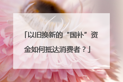 以旧换新的“国补”资金如何抵达消费者？