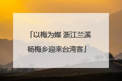 以梅为媒 浙江兰溪杨梅乡迎来台湾客