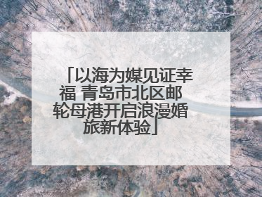 以海为媒见证幸福 青岛市北区邮轮母港开启浪漫婚旅新体验