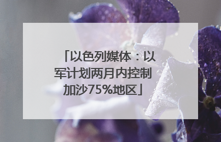 以色列媒体：以军计划两月内控制加沙75%地区