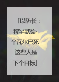 以防长：穆罕默德·辛瓦尔已死 这些人是下个目标