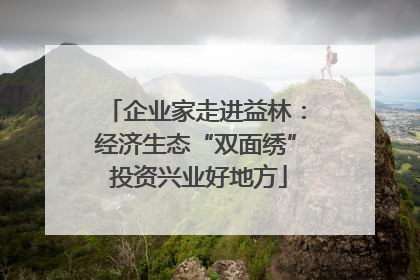 企业家走进益林：经济生态“双面绣” 投资兴业好地方