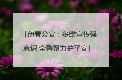 伊春公安：多维宣传强意识 全警聚力护平安