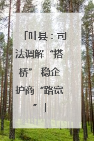 叶县：司法调解“搭桥” 稳企护商“路宽”
